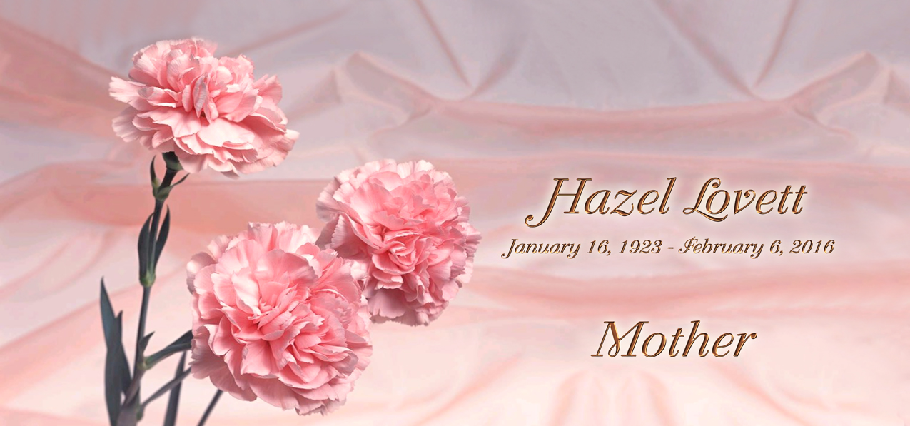 Pink Carnations (Hazel Lovett) PROOF